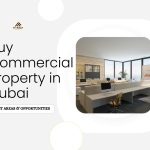 Buy Commercial Property in Dubai in 2025: Best Areas & Opportunities